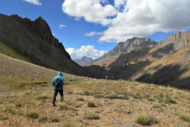 Bicho thach. Larsa we trek