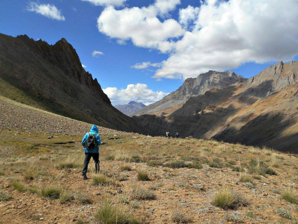 Bicho thach. Larsa we trek