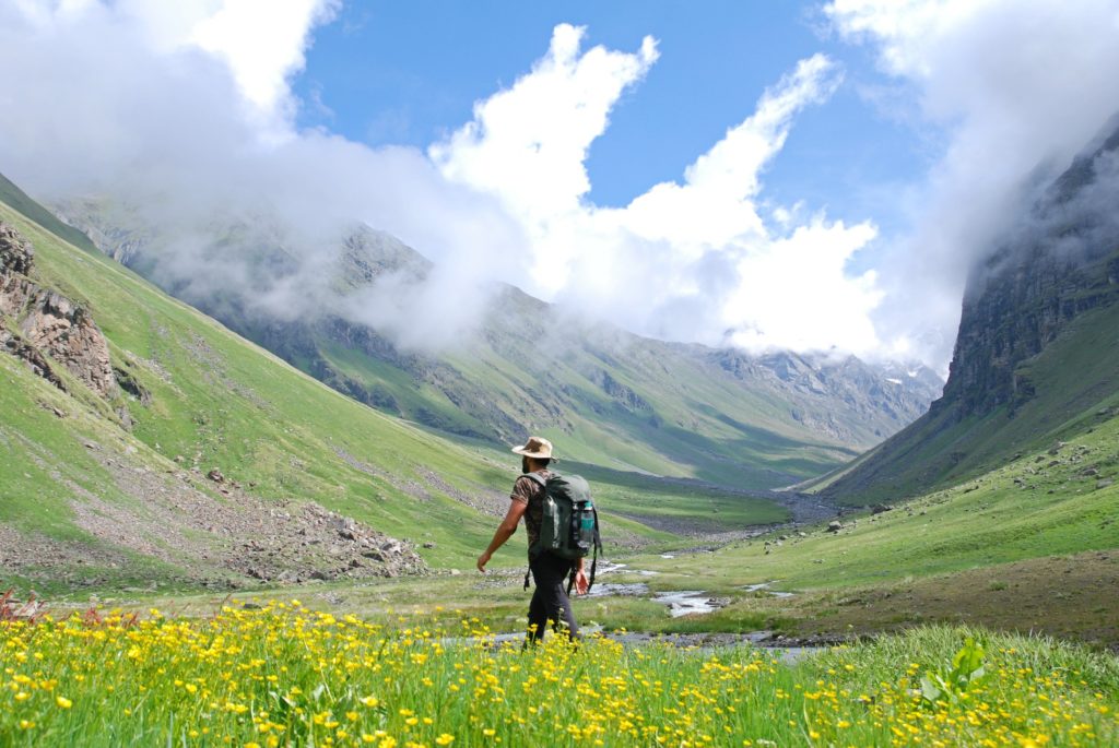 Yellow wild flowers of Morinda Taal by the Borasu stream