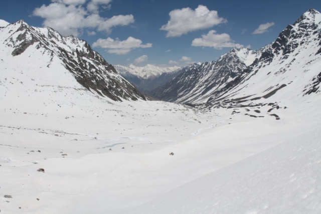 Snowy landscape view