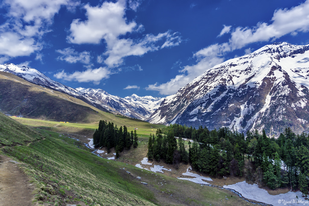 Meadows of Litham on Buran Ghati trail