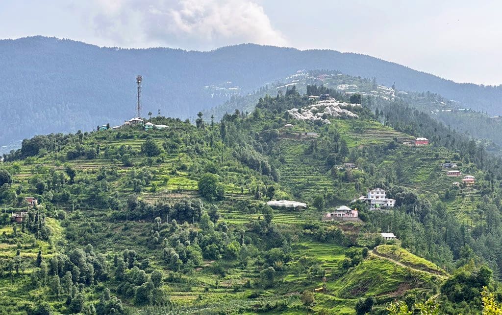 Apple orchards near Narkanda