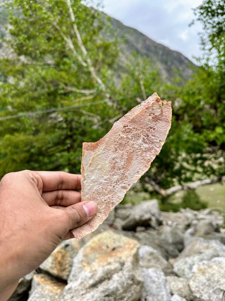 Bhoj patra (Himalayan birch) bark we found near Chitkul village