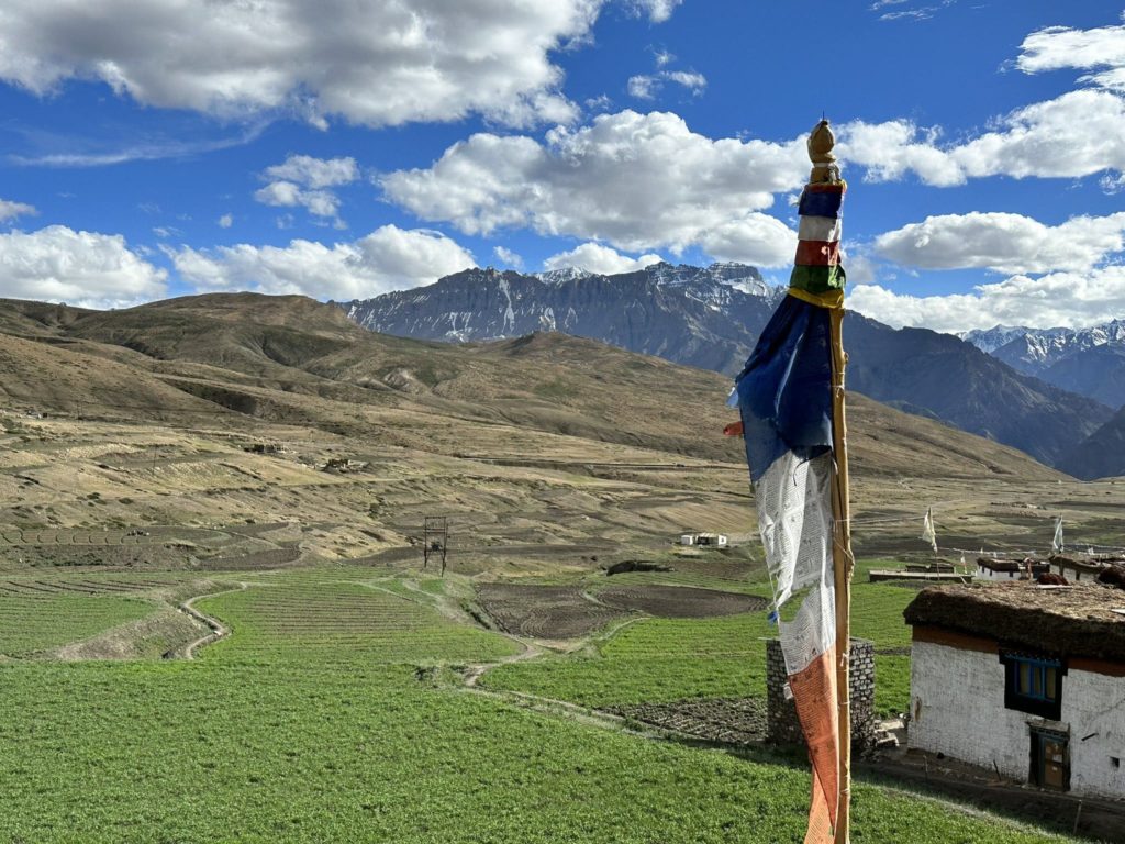 Pea fields of Langza village of Spiti