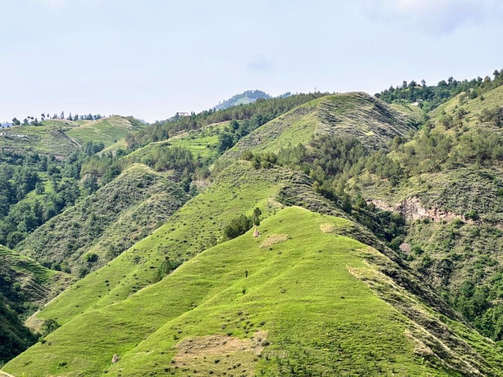 Valley below Narkanda town