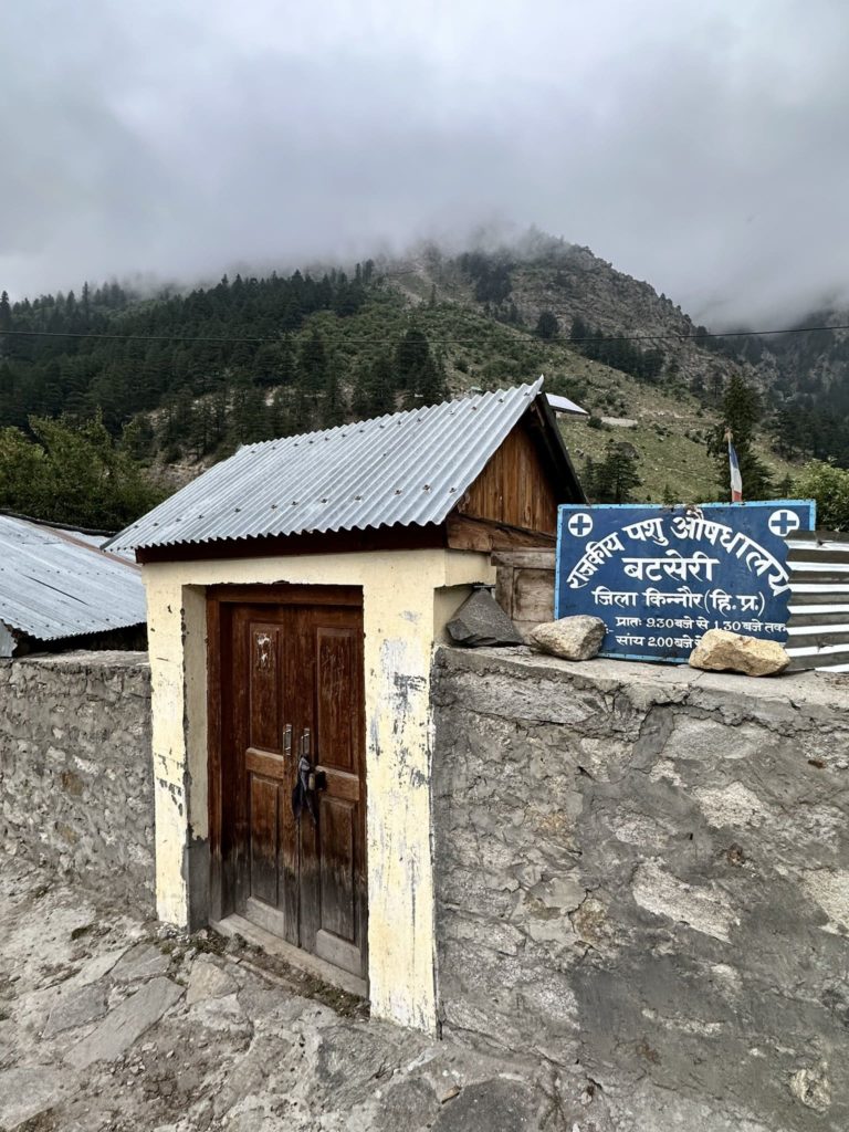 Veterinary hospital Batseri village of Sangla valley