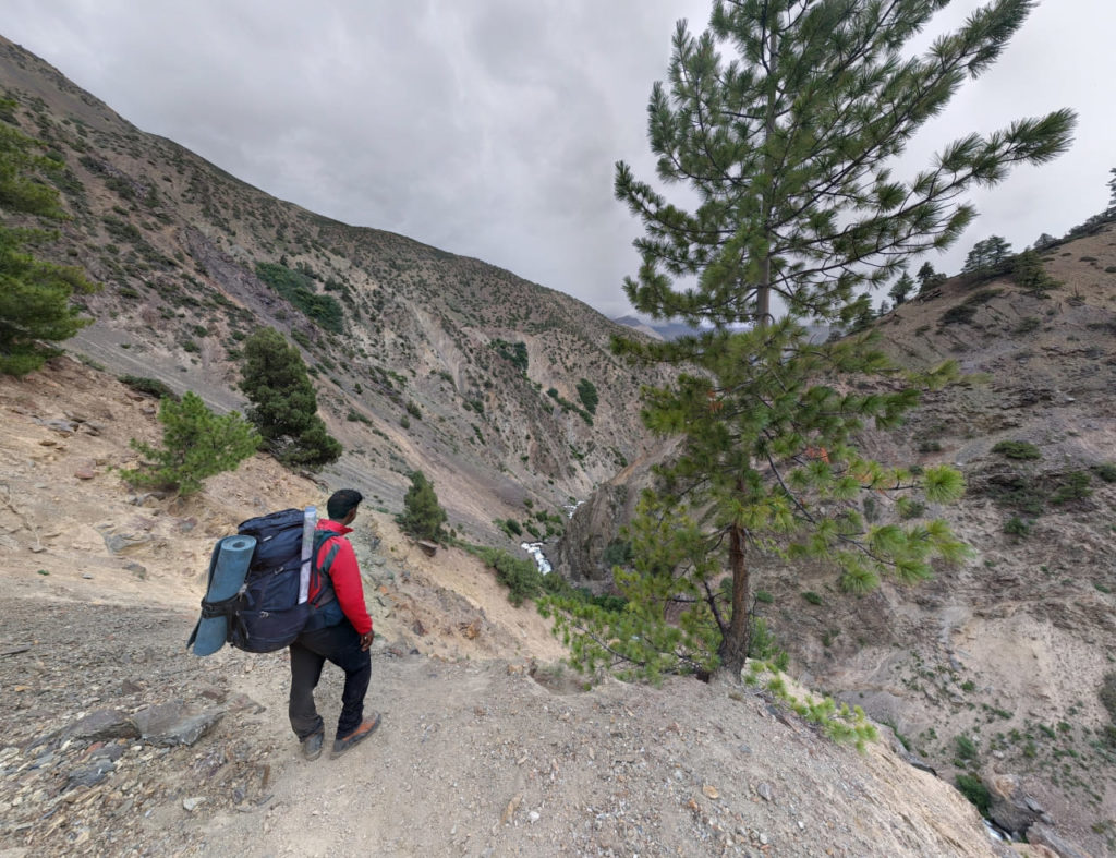 Sparse vegetation in higher reaches of Waling Nala