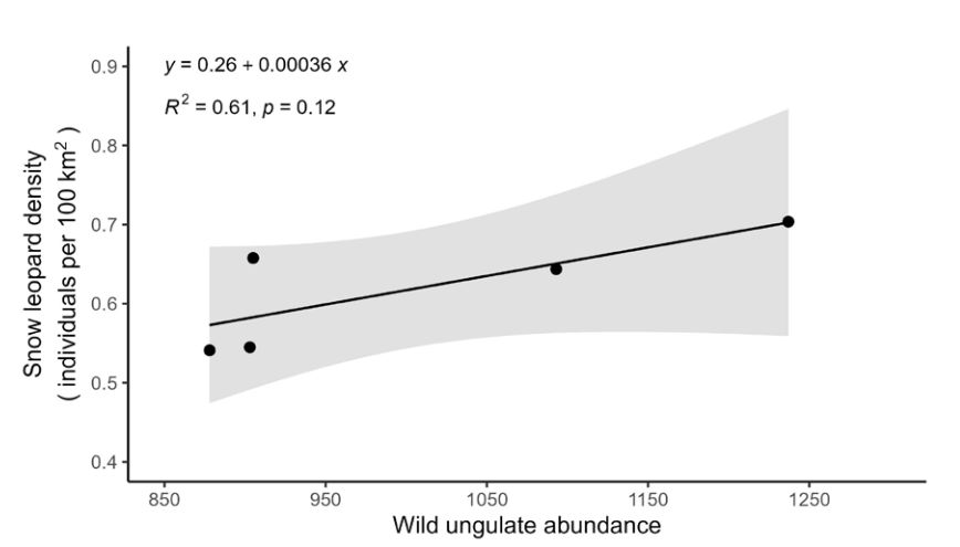 Graph of Snow leopard density in relation to wild prey abundance from Spiti valley