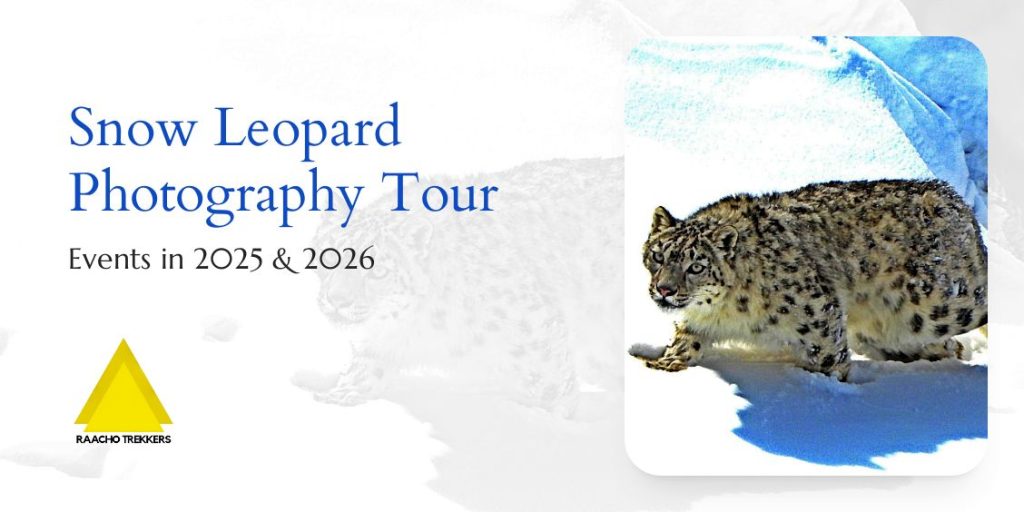 Snow Leopard Photograhpy Expeditions in 2026
