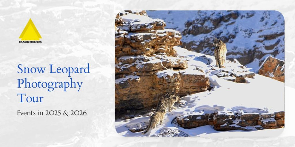 Snow Leopard Photography Expeditions in 2026