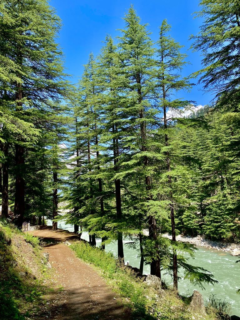 A hiking trail near Batseri along the Baspa river