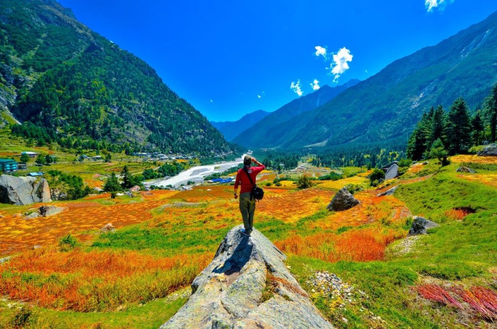 Standing on a boulder and overlooking the buckwheat field of Rakcham